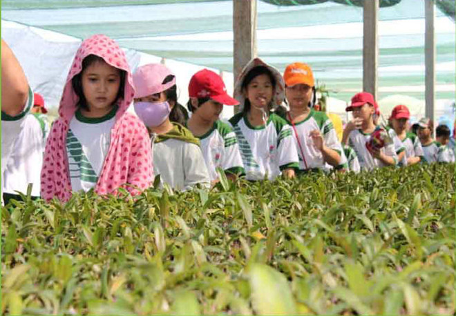 HCM City seeks solutions to promote agriculture tourism ảnh 1