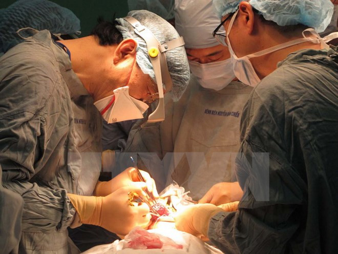 Japanese doctor named as Vietnam’s honorary consul in Nagoya ảnh 1