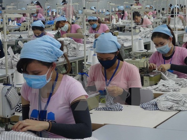 Cotton Day connects Vietnam, US firms ảnh 1