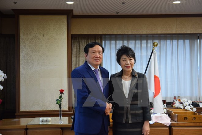 Japan’s justice ministry keeps all-round cooperation with Vietnam ảnh 1