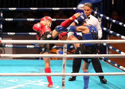 Vietnamese to compete in Asia fighting event ảnh 1