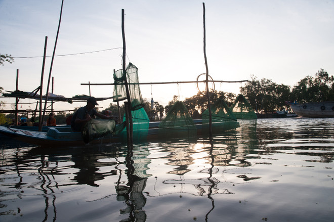 Aquatic products expected to rake in 9 billion USD by 2020 ảnh 1