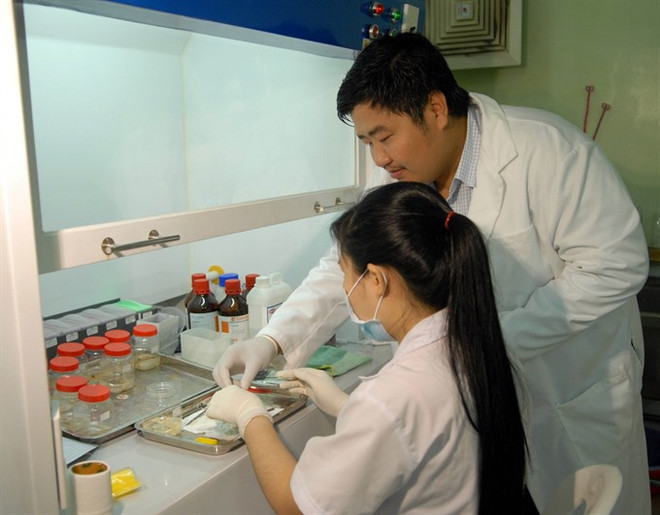 Vietnam develops vaccines for human diseases ảnh 1 Vietnam develops vaccines for human diseases ảnh 1