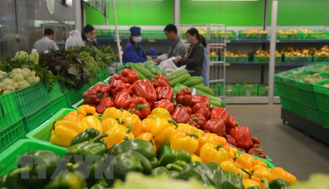 Vegetable, fruit exports hit 2.7 billion USD in eight months ảnh 1