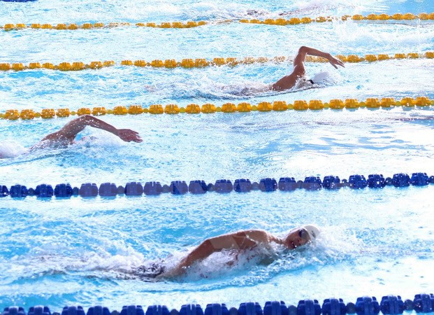 Age Group Swimming Championship wraps up ảnh 1