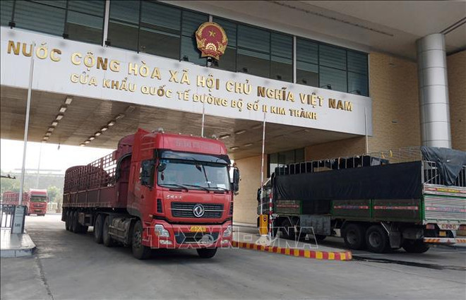 Nearly 3,000 Vietnamese firms receive codes to export agricultural products to China ảnh 1