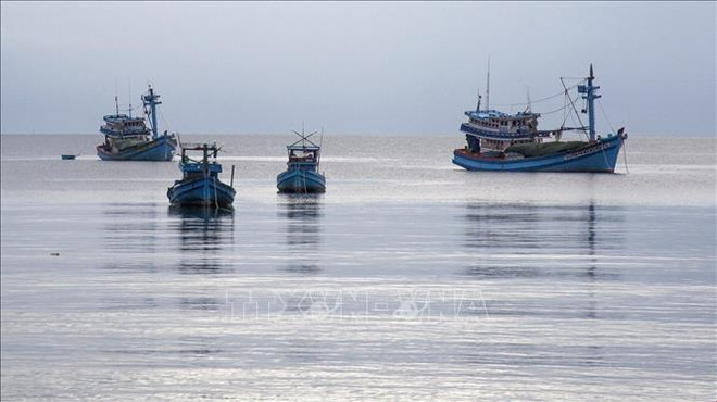 Coast guard force continues focusing on IUU fishing prevention, combat in 2024 ảnh 1 Coast guard force continues focusing on IUU fishing prevention, combat in 2024 ảnh 1