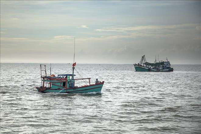 Fishermen’s awareness improves, Tien Giang records no IUU fishing cases ảnh 1
