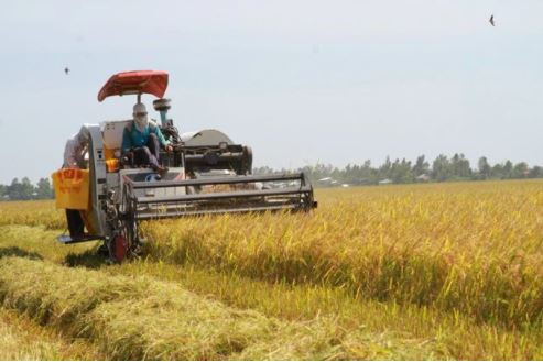 Vietnam, Canada hold huge cooperation potential in agriculture: Canadian insiders ảnh 1 Vietnam, Canada hold huge cooperation potential in agriculture: Canadian insiders ảnh 1