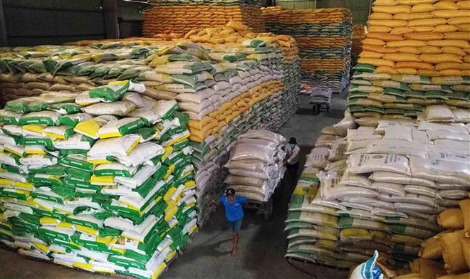 Rice export soars to record high in 2023 ảnh 2 Rice export soars to record high in 2023 ảnh 2
