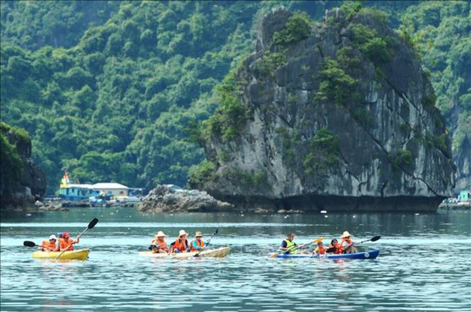 Hai Phong strives to welcome 9.1 million tourists in 2024 ảnh 1 Hai Phong strives to welcome 9.1 million tourists in 2024 ảnh 1