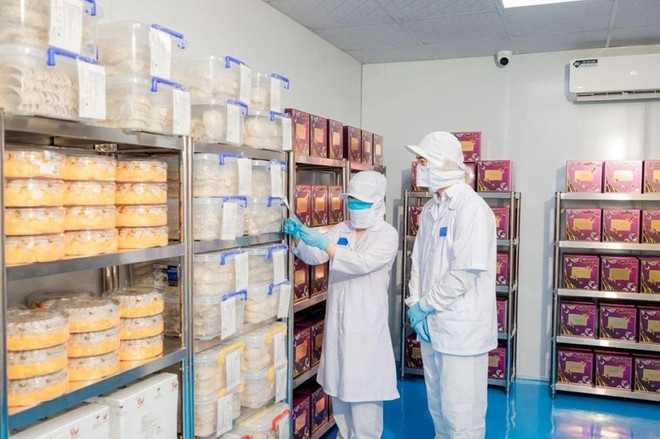 Vietnam marks first bird’s nest batch exported to China by air ảnh 2 Vietnam marks first bird’s nest batch exported to China by air ảnh 2