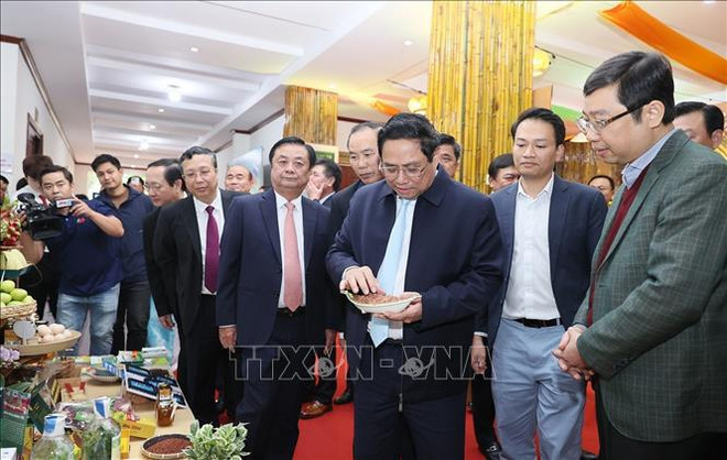 PM urges agriculture sector to promote digital and green transformation ảnh 1 PM urges agriculture sector to promote digital and green transformation ảnh 1