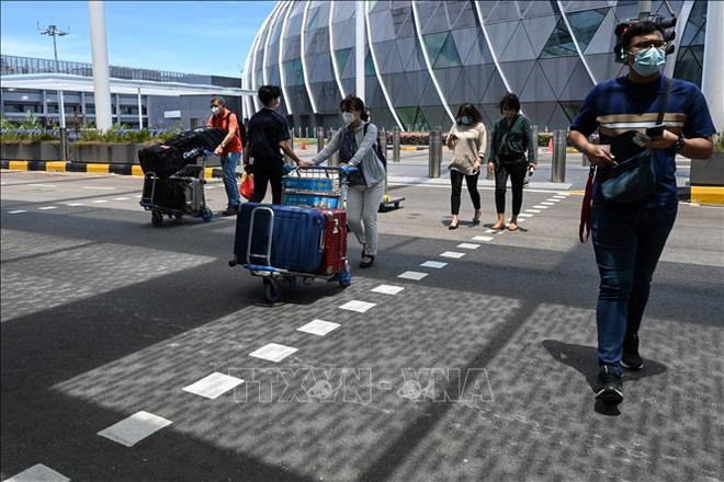 Singapore freezes ticket sales for VTL flights and buses amid Omicron concerns ảnh 1