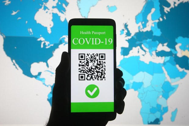 Health ministry officially introduces Vietnam's COVID-19 vaccine passport ảnh 2 Health ministry officially introduces Vietnam's COVID-19 vaccine passport ảnh 2