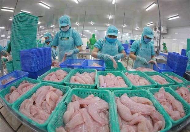 Tra fish export value estimated at 1.54 billion USD this year ảnh 1 Tra fish export value estimated at 1.54 billion USD this year ảnh 1