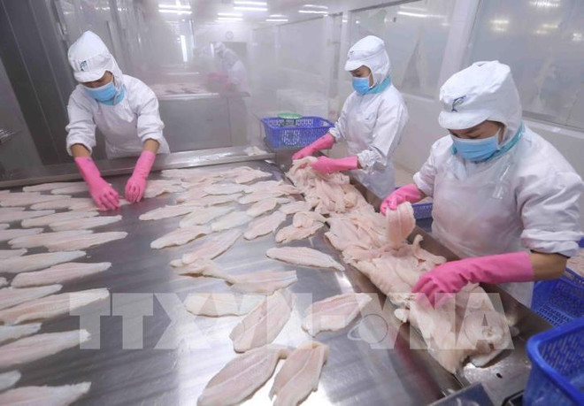 Fishery exports projected to near 8.9 billion USD this year ảnh 1 Fishery exports projected to near 8.9 billion USD this year ảnh 1