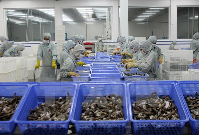 Vietnam aquaculture export and forum opens in Can Tho ảnh 1