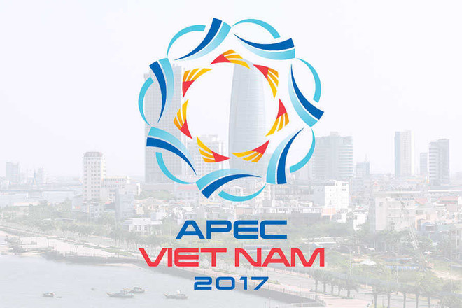 APEC 2017 affirms Vietnam’s position and capacity ảnh 1