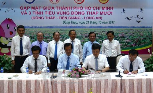HCM City boosts tourism ties with Dong Thap Muoi sub-region ảnh 1