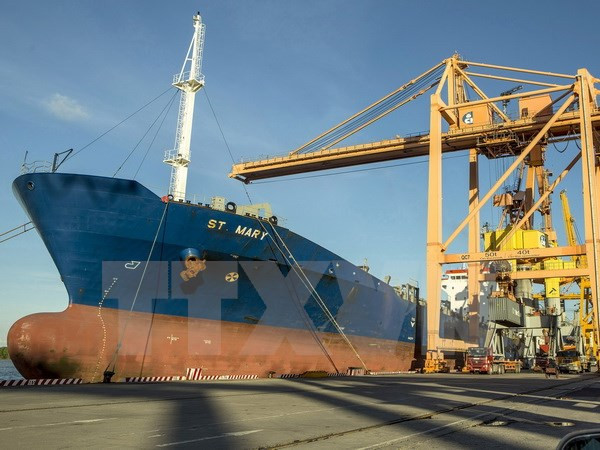 Prime Minister lays out tasks for FTA implementation ảnh 1