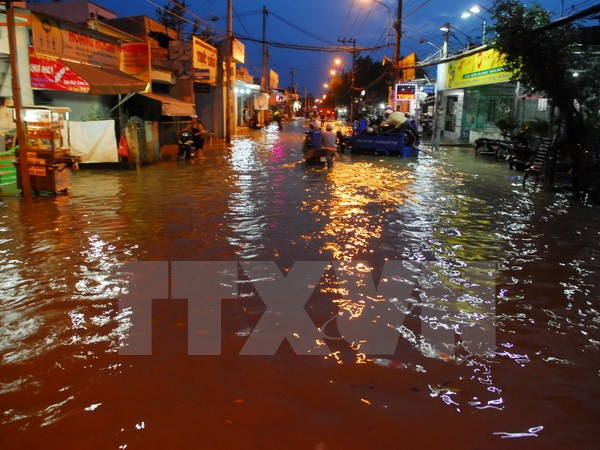 HCM City to begin 15 million USD flood prevention project ảnh 1 HCM City to begin 15 million USD flood prevention project ảnh 1