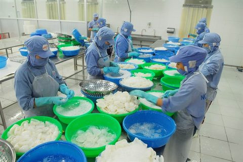 Vietnam vows to combat IUU fishing ảnh 1
