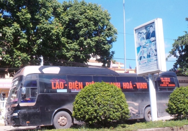 Contraband bear paws seized in Thanh Hoa ảnh 1