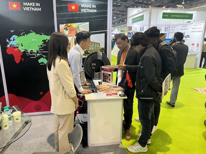 Vietnamese company introduces air conditioning equipment in India ảnh 1