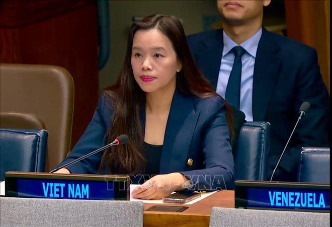 Vietnam prioritises building inclusive, equal, resilient society: diplomat ảnh 1 Vietnam prioritises building inclusive, equal, resilient society: diplomat ảnh 1