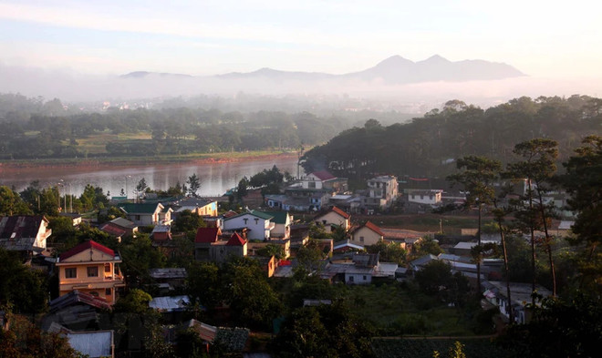 Da Lat enjoys growth in tourist arrivals during Tet holiday ảnh 1