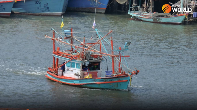 Thailand restricts commercial fishing in Gulf of Thailand for three months ảnh 1