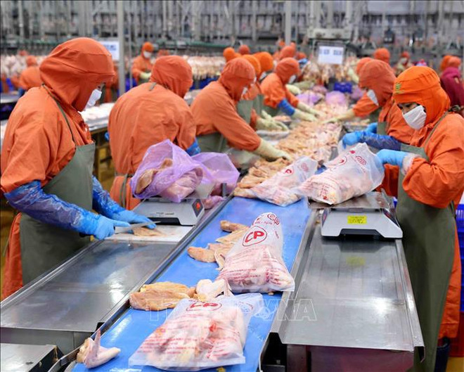 Vietnam’s agricultural exports to China expected to rise ảnh 1 Vietnam’s agricultural exports to China expected to rise ảnh 1