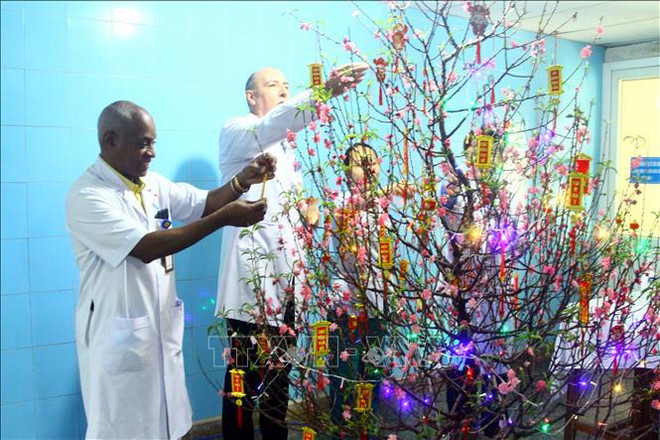 Foreign medical experts, students share joy of Tet in Vietnam ảnh 1 Foreign medical experts, students share joy of Tet in Vietnam ảnh 1