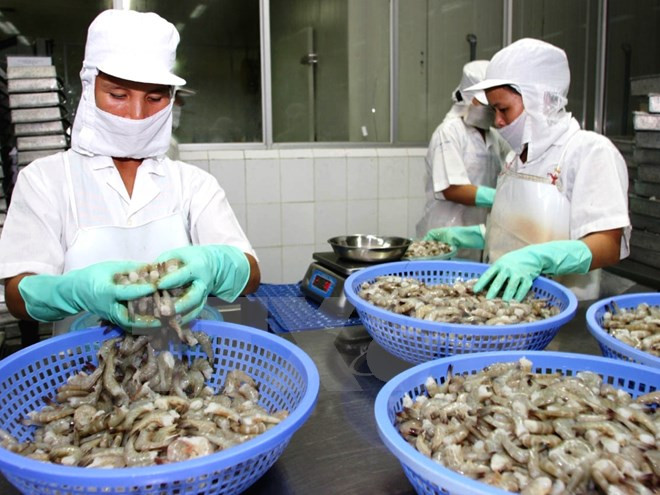 Australia to intensify inspection of imported seafood from VN ảnh 1