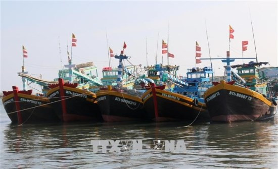 Quang Tri takes concerted measures to prevent IUU fishing ảnh 1