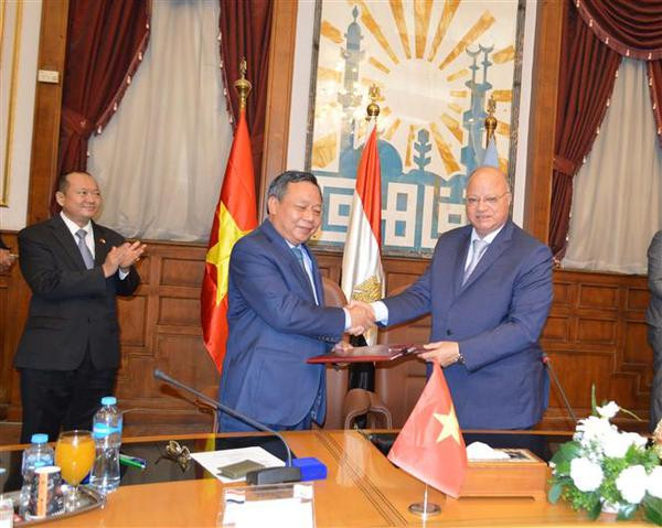 Vietnam, Egypt eye closer collaboration ảnh 2 Vietnam, Egypt eye closer collaboration ảnh 2