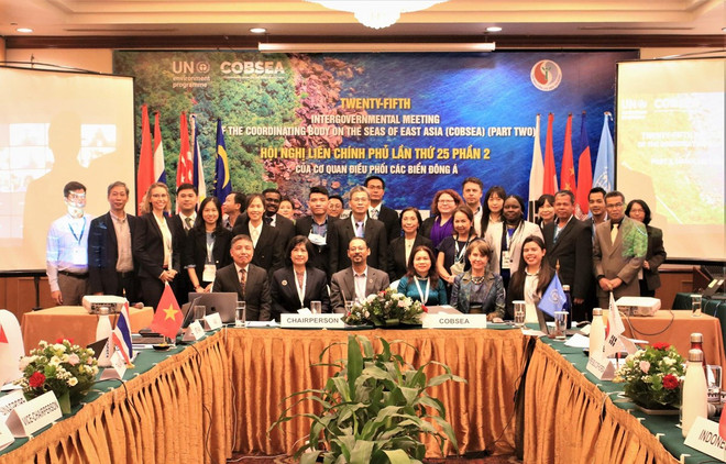 East Sea Asian nations take joint action against marine plastic pollution ảnh 1