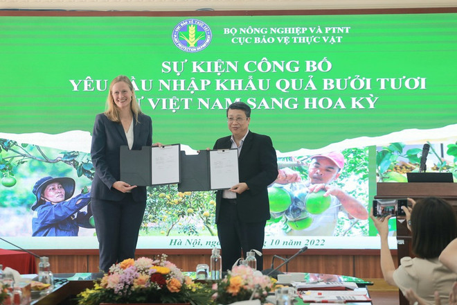 Vietnamese pomelo gets green light to enter US market ảnh 2 Vietnamese pomelo gets green light to enter US market ảnh 2