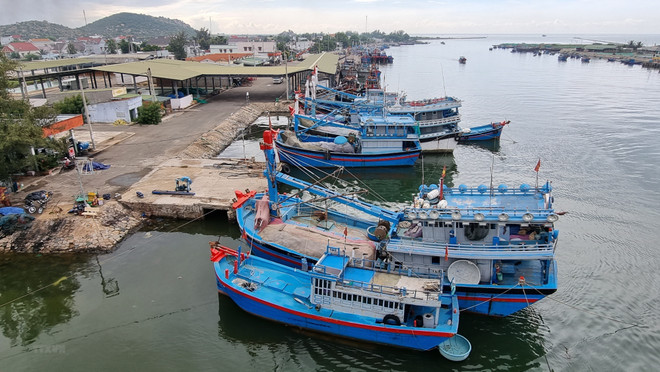 Ninh Thuan province tackles IUU fishing ảnh 1