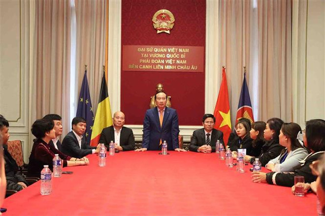 "Meet & Greet" programme boosts Vietnam – Belgium trade connection ảnh 2 "Meet & Greet" programme boosts Vietnam – Belgium trade connection ảnh 2
