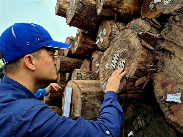 Huge potential for Vietnam’s timber exports ảnh 1 Huge potential for Vietnam’s timber exports ảnh 1