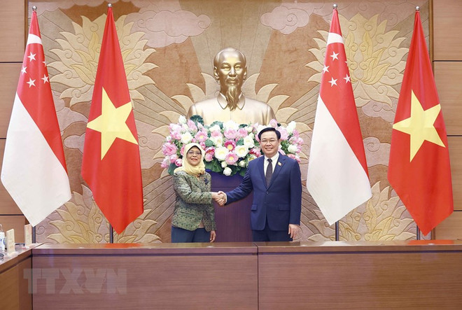 Vietnam-Singapore strategic partnership is developing fruitfully: Leaders ảnh 1