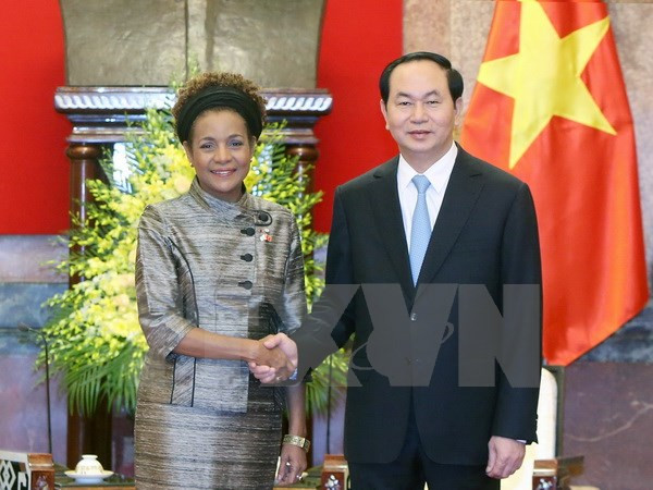 Vietnam wants Francophone community to strengthen economic ties ảnh 1