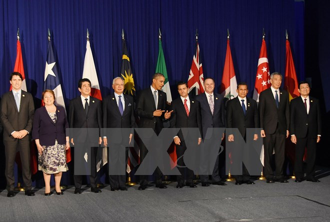 Leaders vow to bring TPP pact into force soon ảnh 1