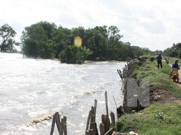 Mekong Delta seeks to help vulnerable groups adapt to climate change ảnh 1