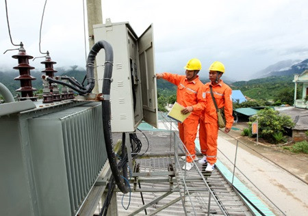 Electricity of Vietnam sells stakes in companies ảnh 1