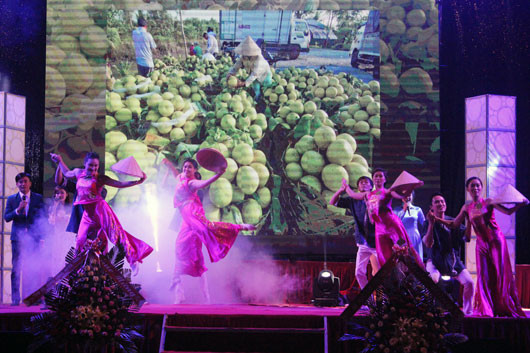 Central Highlands agriculture, trade fair 2015 opens ảnh 1 Central Highlands agriculture, trade fair 2015 opens ảnh 1