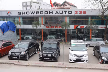 TPP to remove car tariffs in 13 years ảnh 1