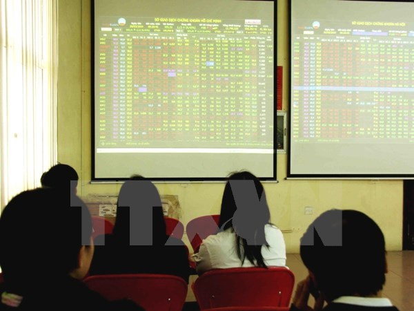 Large-caps suffer blue chip stocks ảnh 1